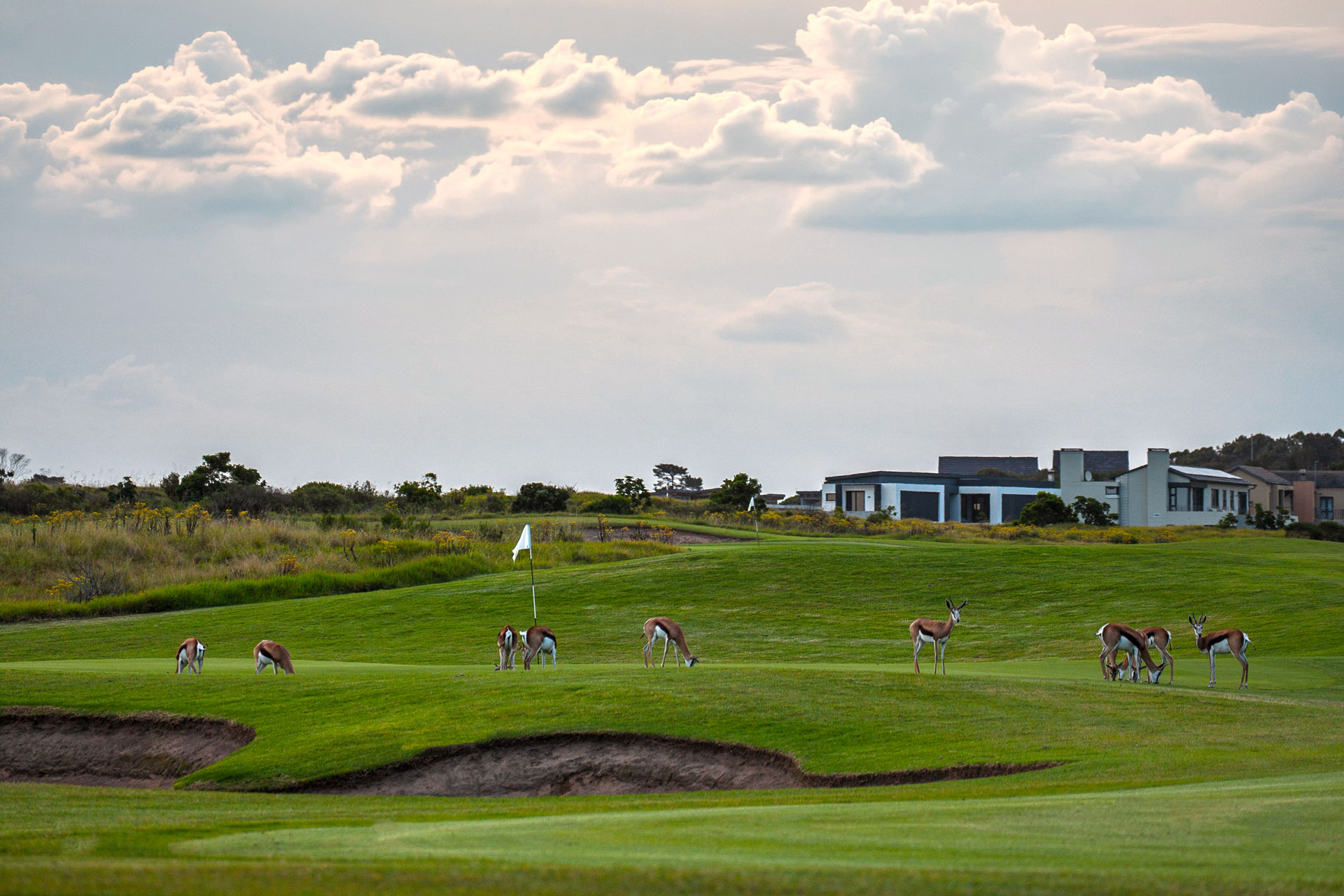 Oubaai Golf Estate Living Estate Buck