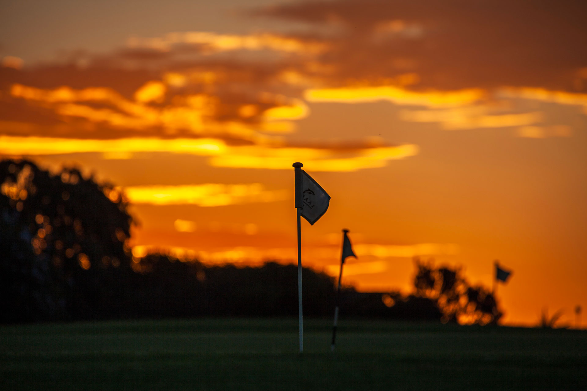 Oubaai Golf Estate Putting Green Silhouette