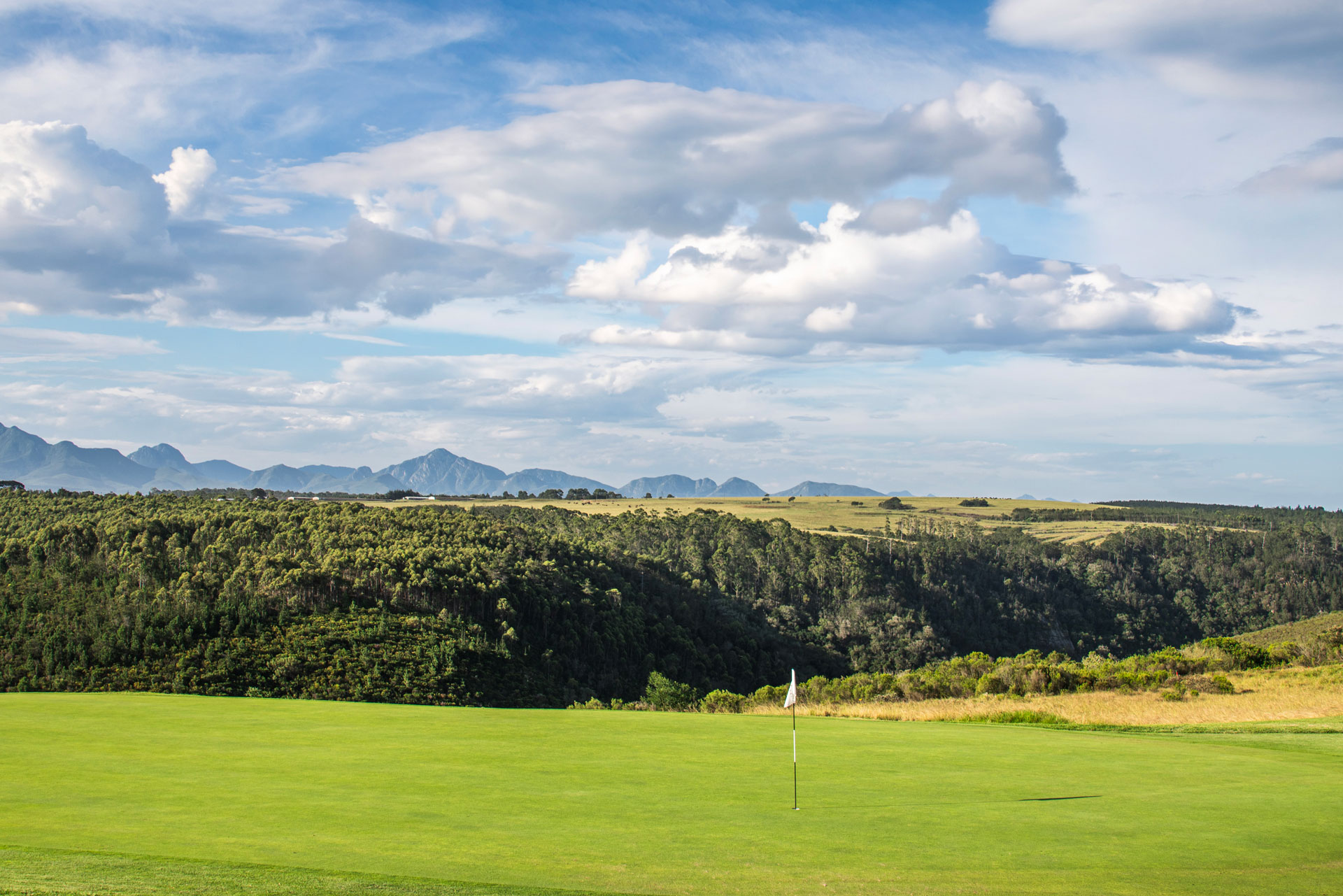 Oubaai Golf Hole Forest And Mountain View