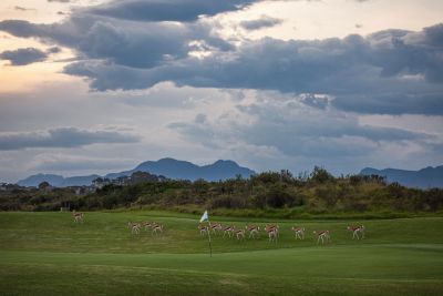 Oubaai Golf Estate Springbok Golf Mountain